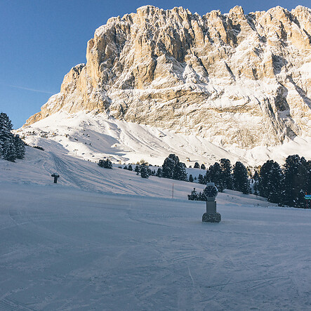 Circuito e ski safari