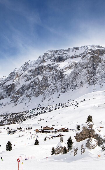 Ski circuits and ski safaris